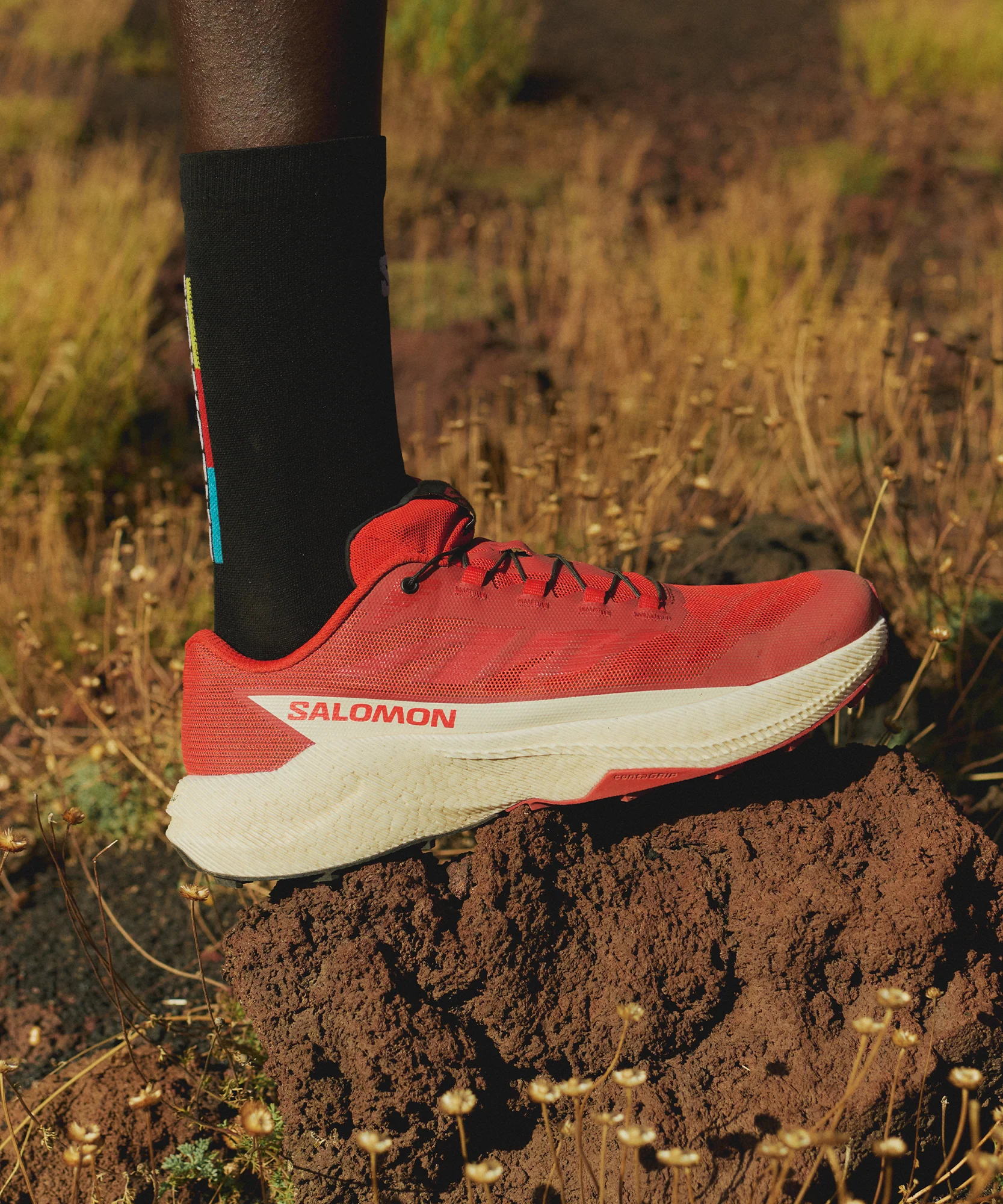 PULSAR MEN'S - Image 2