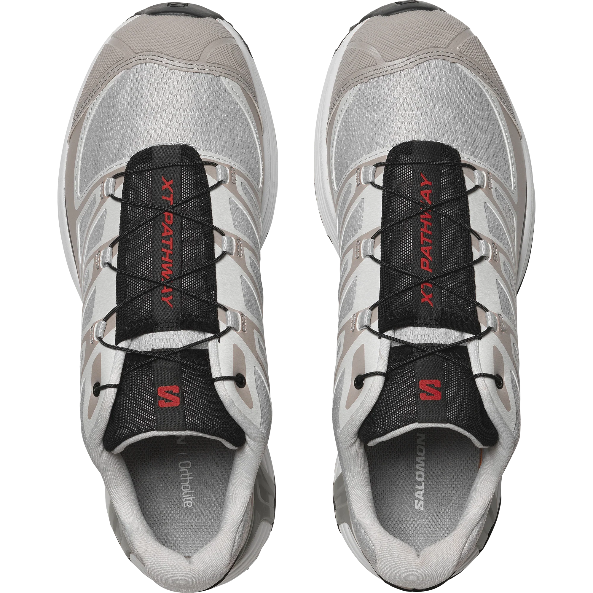 XT-PATHWAY - Image 5